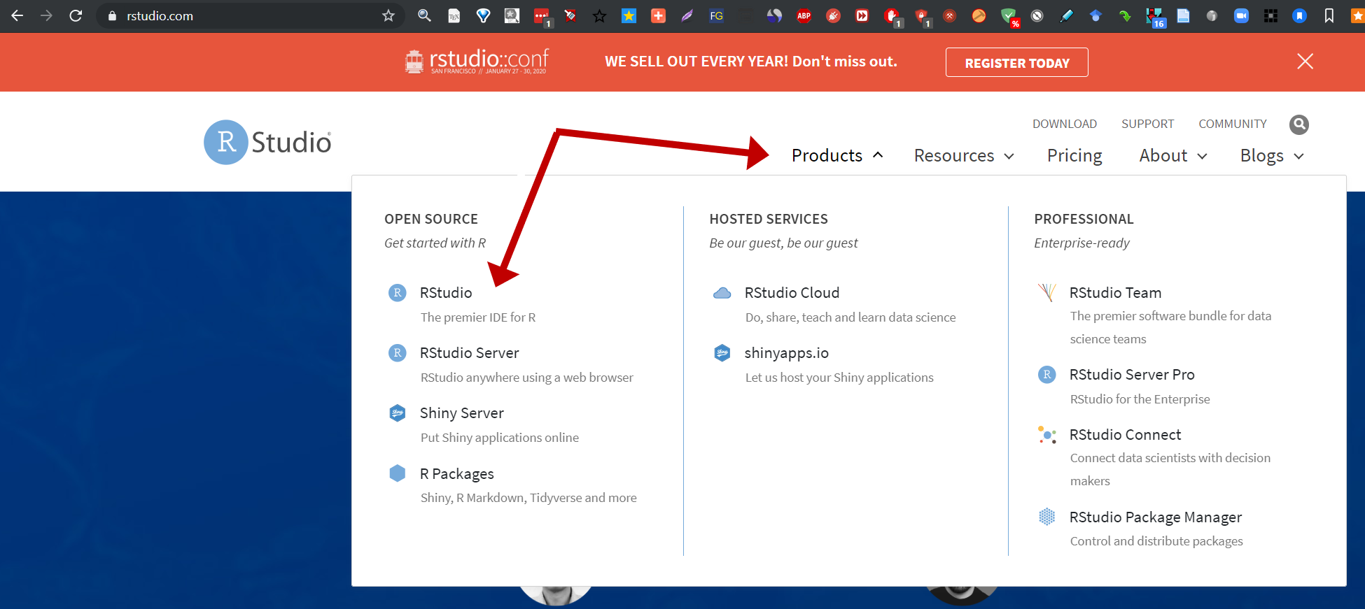 Fig. 8: RStudio homepage